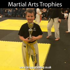 Martial Arts Trophies